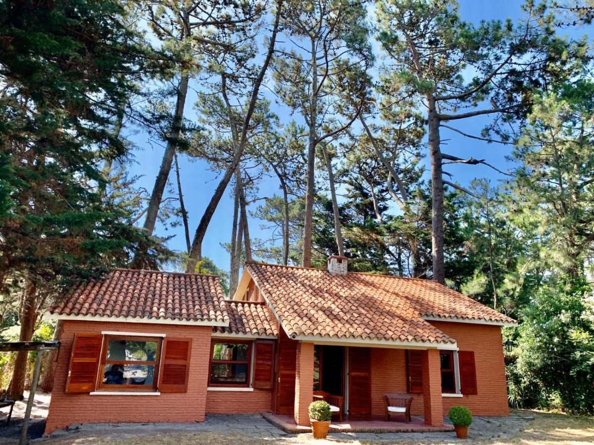 Barradas Parque Hotel & Spa Πούντα ντελ Έστε Εξωτερικό φωτογραφία
